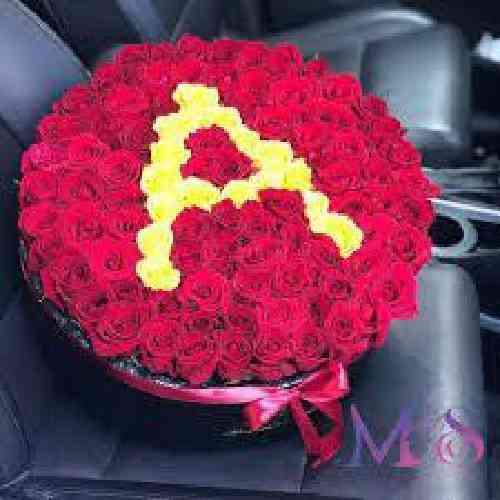 کوروش رضوانی فر گل نورسم آخی دل بی کسم آخی